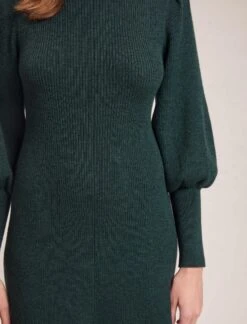 Eva Merino Wool Roll Neck Dress - Dark Green -Cheap Closet Curation Store WI23 D574 EVA DARKGREEN LS 35289